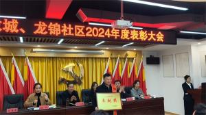 盛世胜游官网物业荣获2024年社区表彰大会奖项